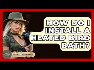 How Do I Install A Heated Bird Bath? - Bird Watching Diaries