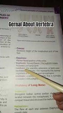 Vertebrae Explained | Basic Structure & Types of Spinal 🩻 #sportsinjury #backinjury #rehabilitation