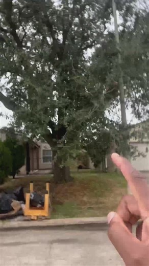 Houston uses $1.2M in disaster funds for urgent heavy trash cleanup