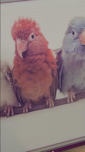 This color e-ink screen is so.... #arduino #raspberrypi