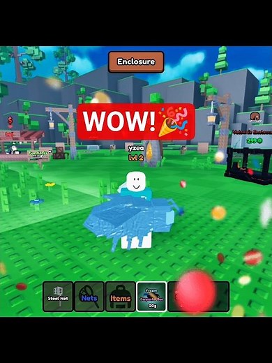 Catch Bugs! (ROBLOX)