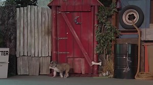 15K views · 418 reactions | Put your paws together for Animals on...