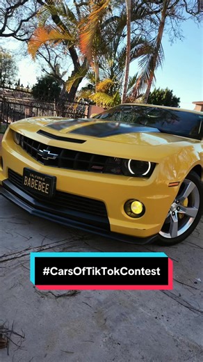 The Freedom of Driving Bumblebee: No Gas Needed!