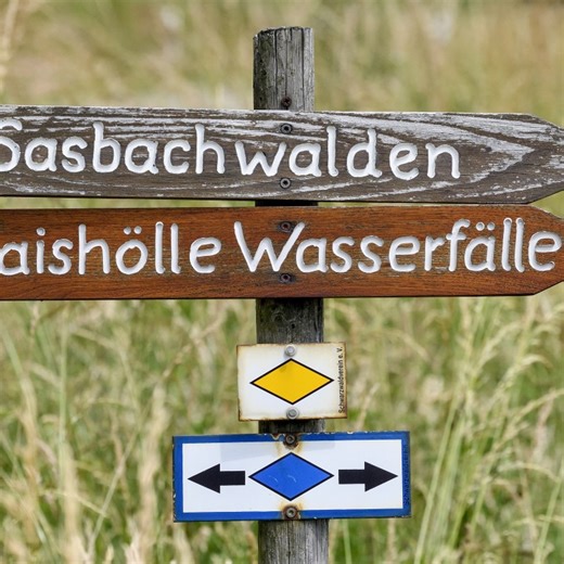 How to Take the Schnapps Hike in Germany’s Black Forest