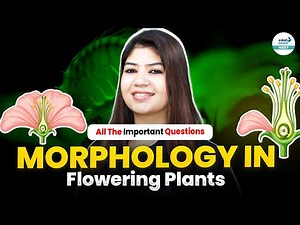Morphology in Flowering Plants - Important Questions for NEET 2026 || ‪@SriChaitanyaAcademyNEET‬