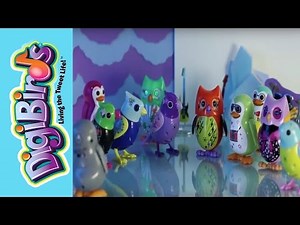 DigiBirds Tweet Valley High Episode 8 - Together