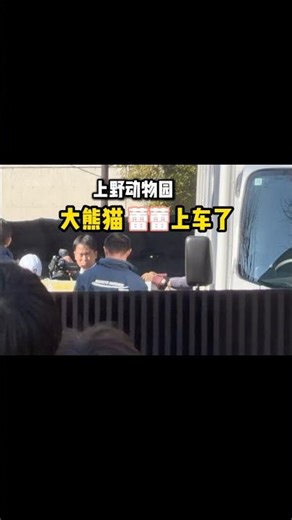 上野动物园大熊猫“蕾蕾”上车了 #日本生活 大熊猫 #蕾蕾 #上野动物园 #上野動物園 #日中関係