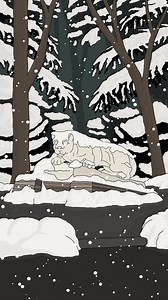 10K views · 776 reactions | Live look at University Park. | Penn State | Facebook