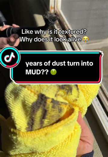 Reviving Dirty Windows: A Cleaning Transformation