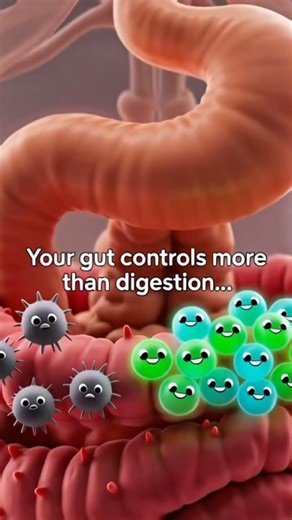 Gut Health Secrets | Inside Body 3D Medical Explanation