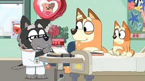 Bluey S01E32 - Bumpy and the Wise Old Wolfhound