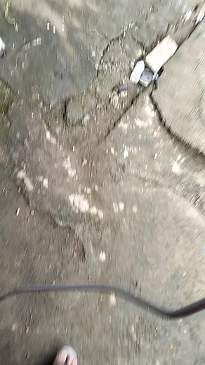 Mark Cervera on Reels