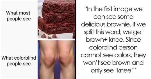 58 Funny Memes, Explained To People Who Didn’t Catch The Reference