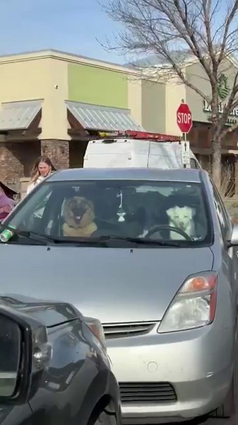 The Prius Has Never Looked Cooler || ViralHog