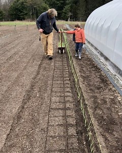 First field planting of the season. Step 1 - I use the gridder from @neversinkfarmtools so we plant straight. Step 2 - Plant with Paperpots, which is definitely the most efficient tool when planting onions. I got River helping to steer and Zoe checking for problems. #perfectteam #onions #familyfarming @paperpotco | Neversink Farm