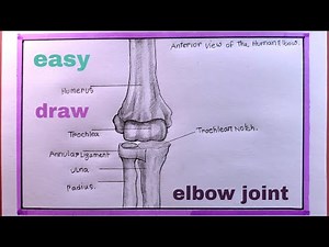 how to draw pivot joint diagram/draw elbow joint easy