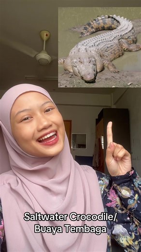 Fakta Menarik tentang Buaya Tembaga di Asia