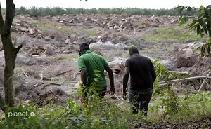 The Python Code: Snakeskins for Luxury Goods