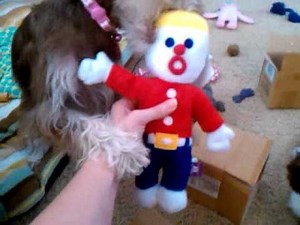 Best dog toy ever- "oh no" Mr. Bill