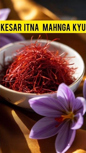 Kya Kesar, gold se bhi jada mahnga h #facts #fact #shorts #youtubeshorts