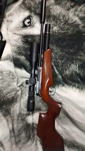 BSA ULTRA CLX 🚀🚀