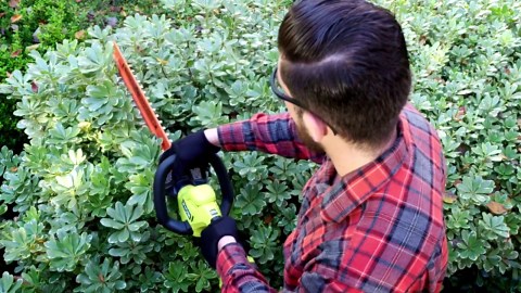 RYOBI ONE+ 18V 22 in. Lithium-Ion Cordless Hedge Trimmer (Tool Only) P2609BTL
