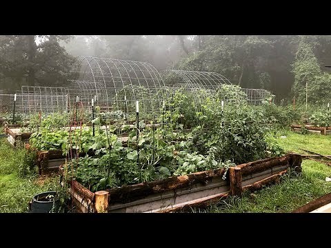 Why Raised Garden Beds? | The Benefits of Raised Bed Gardening | Roots and Refuge Farm