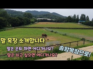 Introducing Songam Horse Ranch. A retreat for retired horses in need of rest.