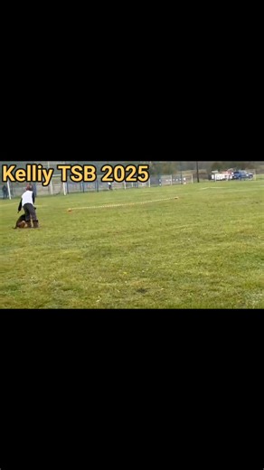 Kelliy unleashes a powerful super attack at TSB 2025 — pure focus, strength, and unstoppable determination in action! #gsd #TSB2025 #GermanShepherd #WorkingDog #ProtectionDog #K9Training #DogSport #BiteWork #IPO #IGP #Schutzhund #ObedienceTraining | Ciprian Gherghe