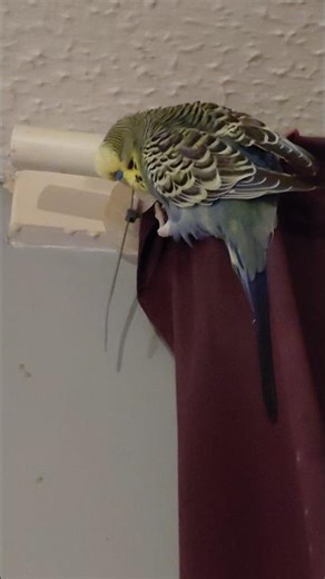 Fighting sleep up there