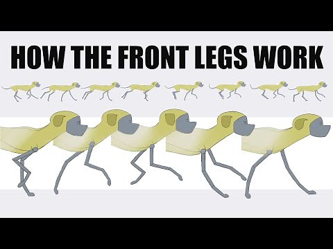 How to Animate a Dog Walk Cycle - 2d Animation Tutorial