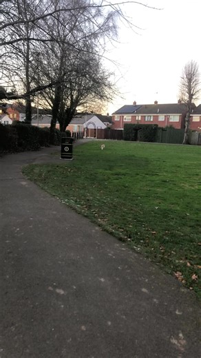 16 and still running like a pup! 🐶🐶