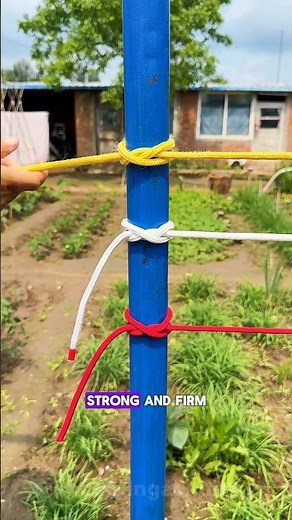 The Perfect Knot for Stakes, Poles & Tents