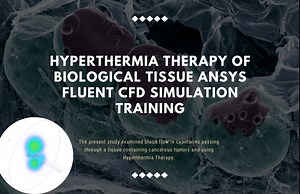 Hyperthermia Therapy of Biological Tissue CFD Simulation Training