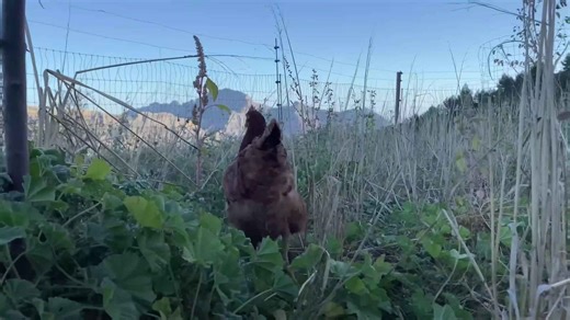 Off-grid living: 730 days alone in the wild