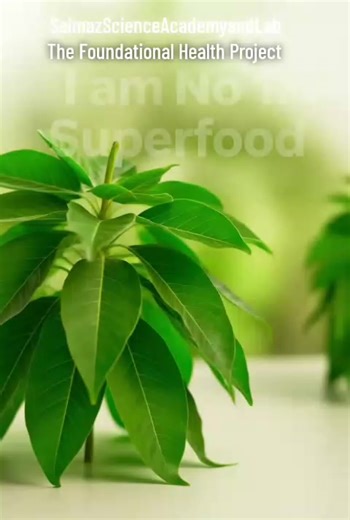 #thefoundationalhealthproject #healthylifestyle #superfood #moringa #carrot