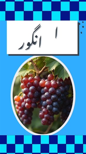 Alif|Alif se Shuru hone Waly Alfaaz| Urdu Alphabet First Letter