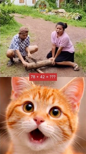 Wait for twist#cat 🫣☠️ #memes #catreaction #lol #shorts #shortsfeed