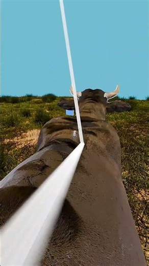 Why Cows Were Painted Like Zebras 🤔 #shorts