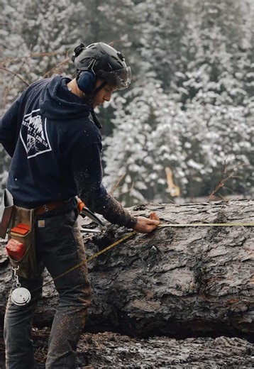 Expert Tree Services for All Your Tree Problems