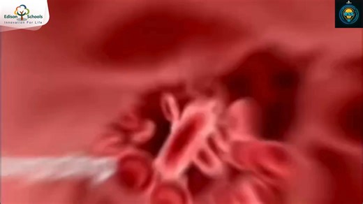 📚 ESS Revision Series – Ôn thi không áp lực, vì đã có ESS chống lưng! 📚 Sinh 8 phiên bản “3 trong 1”: Tuần hoàn – Bài tiết – Hô hấp Bắt đầu buổi sáng bằng 1 phút ESS = tỉnh táo nhớ bài ✔️ Khối 8 yên tâm thi cử vì đã có ESS “gánh hộ”! 😎 | Edison SPARK Society