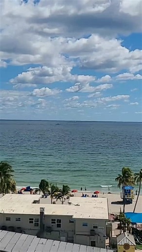 LIVE at the COSTA Hollywood Beach Resort!! Who Else LOVES MY NEW VIEW?? AWESOMENESS!! 💝😍🔥💖 #flashbacksouthflorida #hollywoodfl #southflorida #hollywoodflorida #florida | Flashback South Florida - Memories and Memorabilia