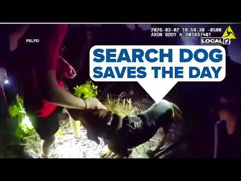 VIDEO: Police bloodhound tracks missing autistic teen mile away in wooded area