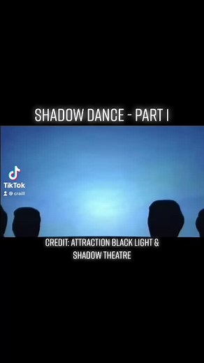 Dancing Soldiers from Every Country | Military Shadow Dance
