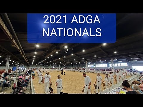 2021 ADGA National Goat Show in Louisville Kentucky!