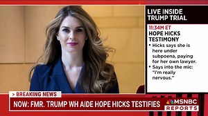 7.4K views · 228 reactions | WATCH: @VaughnHillyard explains why Hope Hicks' testimony today is significant. | MS NOW | Facebook