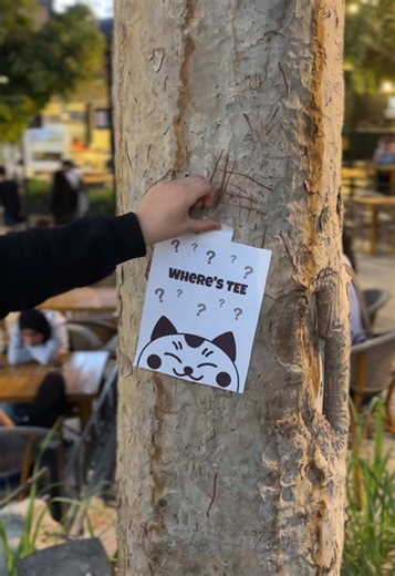 ‏Finding Tee 👀 #tlab #boba