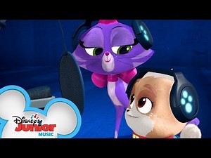 With Friends Like These | Music Video | Puppy Dog Pals | Disney Junior