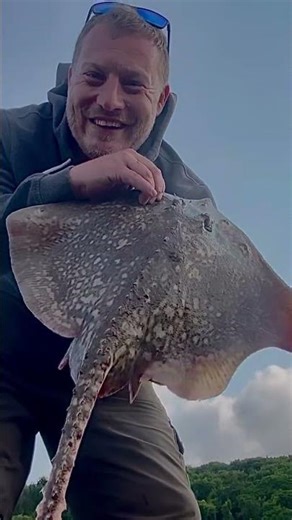 Another for the snag bait additive - Shore Fishing culvercliff - UK