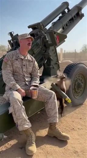 The Moment Balance Broke — Pier Fell Without Warning